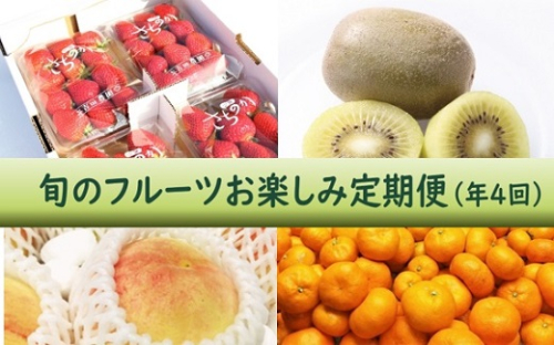 【年4回季節】旬のフルーツお楽しみ定期便★あんずの里【随時開始】[G7031a] 491695 - 福岡県福津市