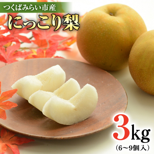 にっこり梨 3kg 【10月発送開始】 梨 ナシ なし 果物 フルーツ 秋 茨城県 デザート 果実 [CZ01-NT] 492913 - 茨城県つくばみらい市
