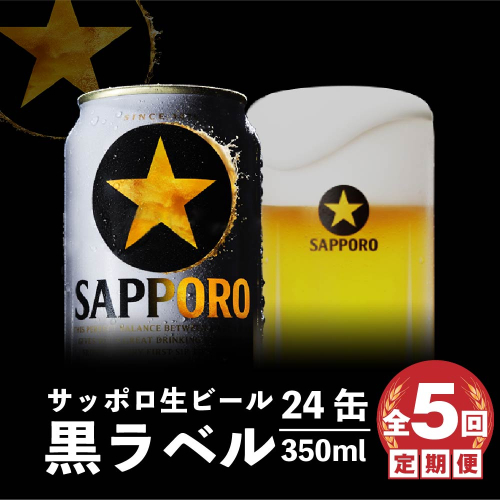 『定期便：全5回』黒ラベル350ml×24本【30001901】 494157 - 北海道恵庭市