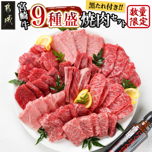 【数量限定】宮崎牛9種盛り焼肉セット_22-3101 499017 - 宮崎県都城市