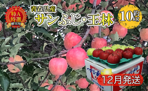 サンふじ・王林約10kg 贈答用【特A・特選】(12月発送)青森県産 果物 りんご 青森りんご 食べ比べ 2種セット 旬のフルーツ 産地直送 499632 - 青森県西目屋村