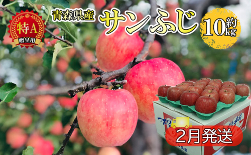 サンふじ約10kg 贈答用【特A】(2月発送)青森県産 果物 りんご 青森りんご 旬のフルーツ 産地直送 499633 - 青森県西目屋村