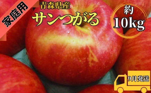 サンつがる約10kg 家庭用(9月発送)青森県産 果物 りんご 青森りんご 旬のフルーツ 産地直送 499634 - 青森県西目屋村