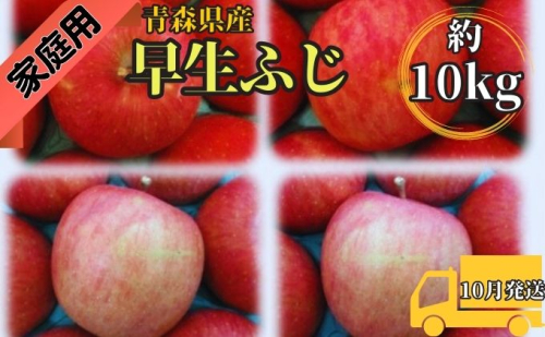 早生ふじ約10kg 家庭用青森県産(10月発送) 果物 りんご 青森りんご 旬のフルーツ 産地直送 499635 - 青森県西目屋村