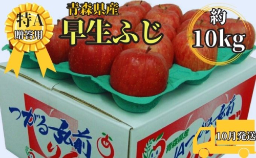 早生ふじ約10kg贈答用【特A】(10月発送)青森県産 果物 りんご 青森りんご 旬のフルーツ 産地直送 499651 - 青森県西目屋村