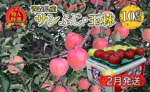 サンふじ・王林約10kg 贈答用【特A・特選】(2月発送)青森県産 果物 りんご 青森りんご 食べ比べ 2種セット 旬のフルーツ 産地直送 499654 - 青森県西目屋村