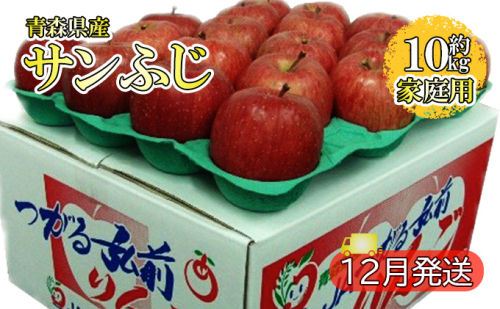 サンふじ 約10kg 家庭用(12月発送)青森県産 果物 りんご 青森りんご 旬のフルーツ 産地直送 499655 - 青森県西目屋村