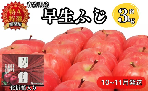 化粧箱入り早生ふじ約3kg贈答用【特A】(10月発送)青森県産 果物 りんご 青森りんご 旬のフルーツ 産地直送 499669 - 青森県西目屋村