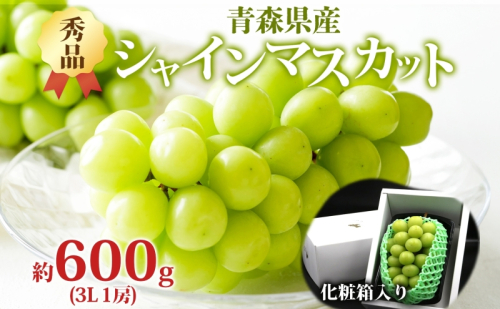  シャインマスカット 秀品 1房 約600g 青森県産 ぶどう ブドウ 葡萄 種なし 大粒 果物 フルーツ くだもの 果実 旬 贈答用 化粧箱 贈り物 人気 お取り寄せ 産地直送 青森県 西目屋村 499670 - 青森県西目屋村