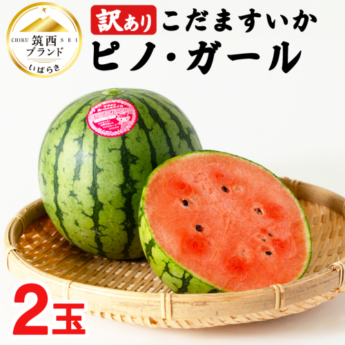 【 訳あり 】 こだますいか 「 ピノ・ガール 」 2玉 2026年産 先行予約 筑西ブランド こだまスイカ 小玉スイカ すいか スイカ フルーツ 果物 [AF081ci] 501198 - 茨城県筑西市