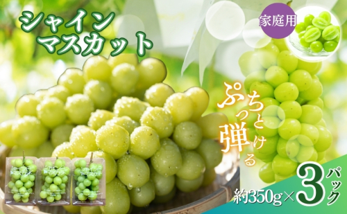 【農家応援企画！！】シャインマスカット家庭用3パック（約350g×3）※オンライン決済限定　2025秋発送 果物 ぶどう フルーツ 食後 デザート  501556 - 長野県長野市