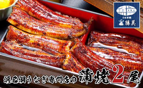 うなぎ 浜松 国産 鰻 蒲焼 2尾 (160g×2尾 タレ75ml×1 山椒付) セット 勝美 土用の丑の日 丑の日 小分け 真空パック 国産うなぎ 浜松うなぎ 浜名湖うなぎ 蒲焼き ギフト プレゼント 贈答 浜名湖 産地直送 冷凍 冷凍配送 静岡 静岡県 浜松市 501603 - 静岡県浜松市