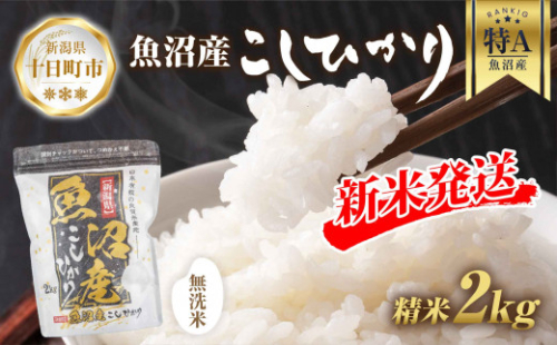 【令和7年産 新米予約】 無洗米 魚沼産 コシヒカリ 2kg 精米 農家のこだわり 新潟県 十日町市 お米 こめ 白米 コメ 食品 人気 おすすめ 送料無料 ご飯 ブランド米 銘柄米 