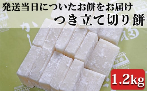 つきたて「切り餅」（1.0kg）　[0007-0049]