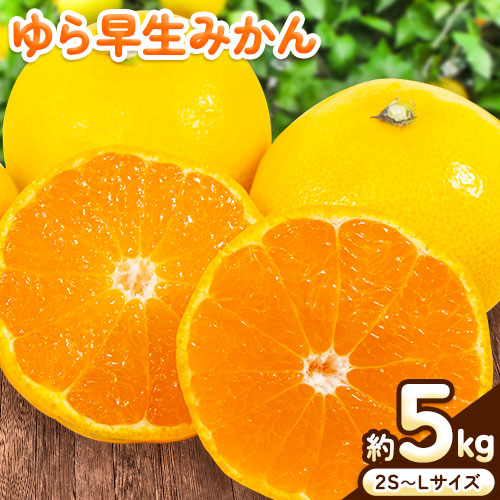 ＜先行予約＞ゆら早生みかん5kg(2S～Lサイズ) どの坂果樹園《2025年10月中旬-12月上旬頃出荷予定》 和歌山県 日高川町 みかん ゆら早生 508749 - 和歌山県日高川町