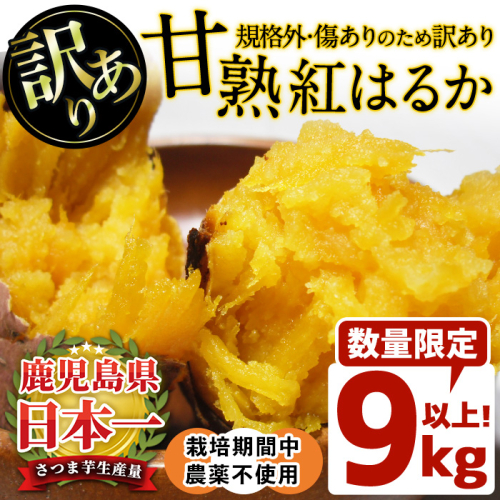 No.892 ＜訳あり・規格外＞栽培期間中農薬不使用 甘熟さつまいも(生)紅はるか9kg以上！(S～4Lサイズ 混在) 焼き芋 スイーツ 熟成 サイズ不揃い 野菜 先行予約 【上原農園】 509828 - 鹿児島県日置市