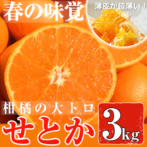 No.211 ＜先行予約受付中！2026年2月下旬～3月下旬までの間に発送＞みかんの大トロ！幻の柑橘「せとか」(約3kg) みかん ミカン 柑橘 せとか 青果 果実 鹿児島 常温 常温保存【黒川農園】
 511330 - 鹿児島県日置市