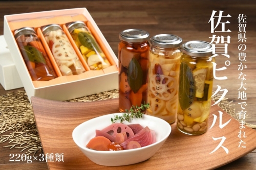 佐賀産熟成お酢使用【佐賀野菜のピクルス】3本：B140-050 51184 - 佐賀県佐賀市