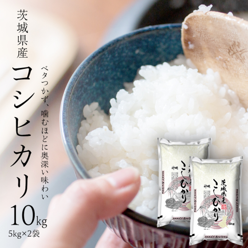 【 新米 】 令和7年産 茨城 こしひかり 10kg（ 5kg × 2本 ） 精米 茨城県 国産 お米 米 コメ 白米 ライス ご飯 おいしい コシヒカリ ごはん 新生活 プレゼント 新生活応援 必要なもの 便利 おすすめ 消耗品 一人暮らし 二人暮らし 必要 513433 - 茨城県つくばみらい市