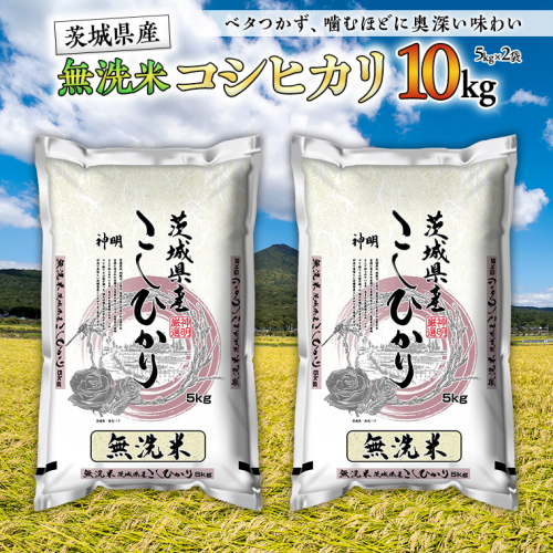 【 新米 】 令和7年産 無洗米 茨城 こしひかり 10kg（ 無洗米 5kg × 2本 ） 新生活 プレゼント 新生活応援 必要なもの 便利 おすすめ 消耗品 一人暮らし 二人暮らし 必要 513467 - 茨城県つくばみらい市