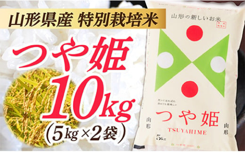 令和7年産 山形県産 特別栽培米 つや姫10kg (5㎏×2袋)
