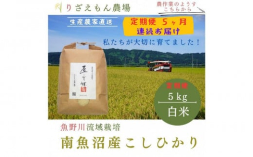 【定期便5回×5kg《合計25kg》】令和７年産　南魚沼産コシヒカリ　白米5kg＼生産農家直送／