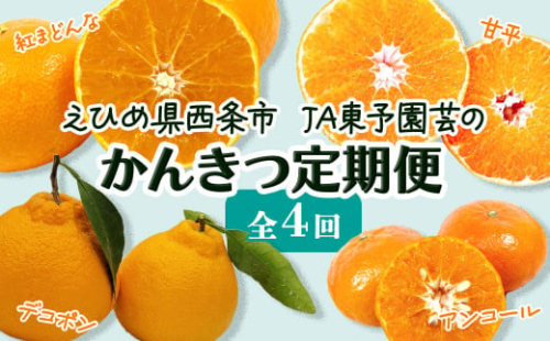 柑橘 みかん 定期便 かんきつ定期便 【愛媛県西条市 かんきつ定期便 4回】 ～ 紅まどんな 甘平 アンコール デコポン ～ 【先行予約・12月より開始】 愛媛県西条市 ｜ みかん 果物 くだもの フルーツ 柑橘 紅まどんな かんぺい 高級 産直 産地直送 数量限定 愛媛 西条市 JA東予園芸 【オンライン決済限定】