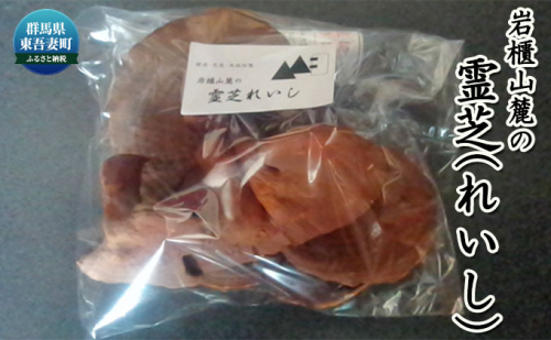 岩櫃山麓の霊芝（レイシ） 野菜 きのこ 乾燥 マンネンタケ 煎じる 食前 飲用 霊芝茶 焼酎 霊芝酒 群馬県産 東吾妻町産 国産 日本産  519831 - 群馬県東吾妻町