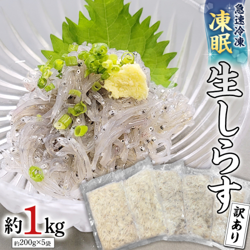 【凍眠】 冷凍 生しらす 約1kg 【訳あり】 しらす シラス 生シラス 新鮮 天然 小分け 魚介 海鮮 国産 刺身 真空 パック 訳あり 凍眠 [AU038ya] 525077 - 茨城県八千代町