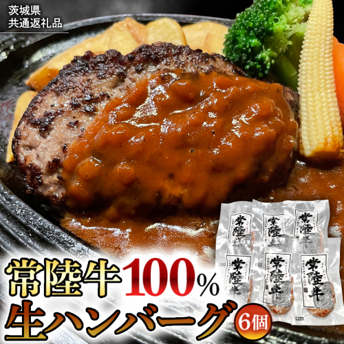 【茨城県共通返礼品】黒毛和牛 常陸牛 100% 特製 プレミアム 生ハンバーグ 120g×6個入り 合計720g 八千代町産 白菜 使用 無添加 無着色 保存料不使用 冷凍 牛 牛肉 ビーフ 生 ハンバーグ こだわり お取り寄せ グルメ 個包装 小分け 時短 真空パック [AU037ya] 525078 - 茨城県八千代町