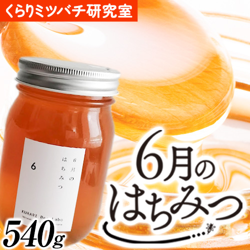 6月のはちみつ 540g KURARI くらりミツバチ研究室《90日以内に出荷予定(土日祝除く)》和歌山県 紀の川市 蜂蜜 ハチミツ 非加熱 純正生はちみつ トースト ヨーグルト 525452 - 和歌山県紀の川市