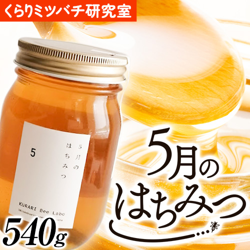 5月のはちみつ 540g KURARI くらりミツバチ研究室《90日以内に出荷予定(土日祝除く)》和歌山県 紀の川市 蜂蜜 ハチミツ 非加熱 純正生はちみつ トースト ヨーグルト 525453 - 和歌山県紀の川市