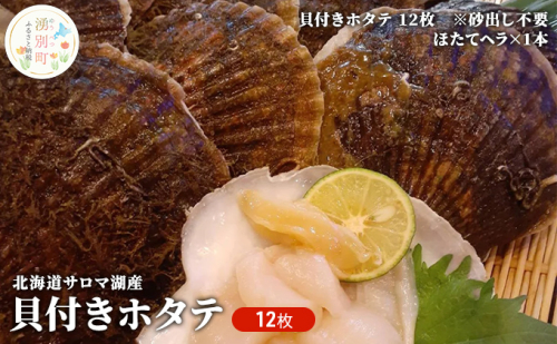 北海道 サロマ湖産 貝付き ホタテ 12枚 【日時指定不可】 帆立 ほたて 国産 殻付き 冷蔵 魚貝類 海鮮 美味しいアミノ酸 甘み 旨味 凝縮 ぷりぷり 新鮮 幸せ フライ 刺身  526852 - 北海道湧別町