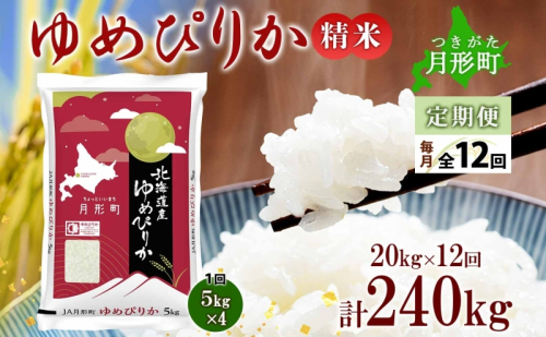 【令和7年産先行予約】北海道 定期便 12ヵ月連続12回 令和7年産 ゆめぴりか 5kg×4袋 特A 精米 米 白米 ご飯 お米 ごはん 国産 ブランド米 肉料理 ギフト 常温 お取り寄せ 産地直送 送料無料  537597 - 北海道月形町