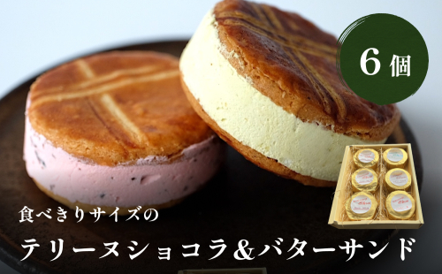 食べきりサイズのテリーヌショコラ&バターサンド６個セット 538784 - 富山県氷見市