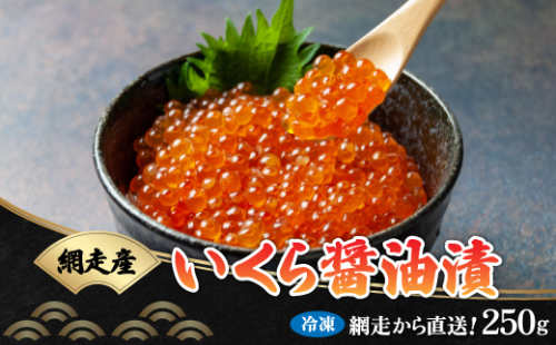 網走から直送！＜網走産＞いくら醤油漬 250g ABB008 539246 - 北海道網走市