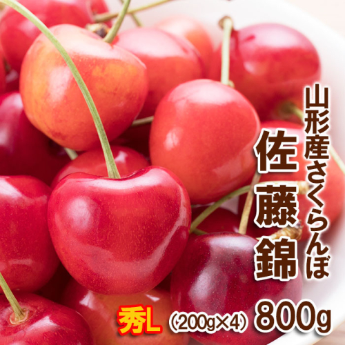 さくらんぼ 佐藤錦 Lサイズ 800g(200g×4パック) 【令和7年産先行予約】FS24-610 539457 - 山形県山形市