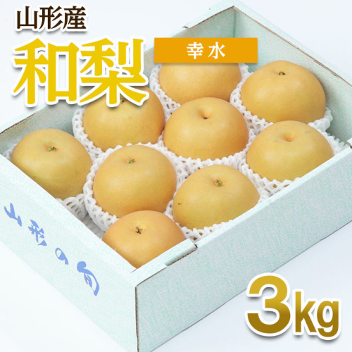 山形産 和梨(幸水) 秀 3kg(6～12玉) 【令和7年産先行予約】FU22-012 539460 - 山形県山形市