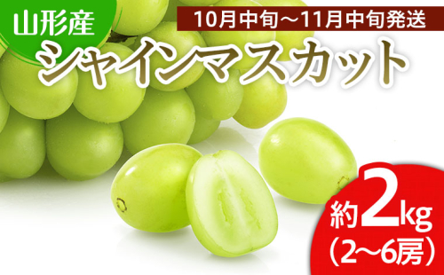 山形市産 シャインマスカット 秀 約2kg(2～6房)[後半] 【令和7年産先行予約】FS24-660 539484 - 山形県山形市