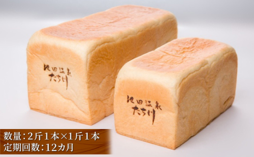 高級 食パン 定期便 12ヶ月 受賞多数 池田温泉『たち川』の旨食パンセット 2斤×1本 1斤×1本 セット パン トースト 12回 お楽しみ 岐阜県池田町  540649 - 岐阜県池田町