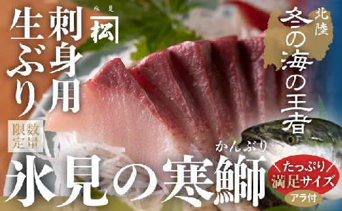 【先行予約】【魚問屋直送】天然「生ひみ寒ぶり」刺身用 約400g 540903 - 富山県氷見市