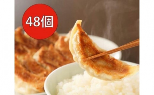  長期熟成にんにくの芳醇な旨味が決め手 肉餃子・野菜餃子詰合せ　48個入り （肉餃子・野菜餃子　各12個入×2パック）| 餃子 肉 野菜 セット ニンニク おいしい 送料無料 東京 八王子