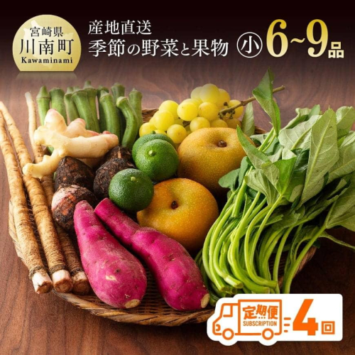 【定期便】産直おすず村 季節の野菜と果物 厳選 詰め合わせセット（小） 【 旬野菜 フルーツ 直売所 産地直送 宮崎県産 】 546939 - 宮崎県川南町