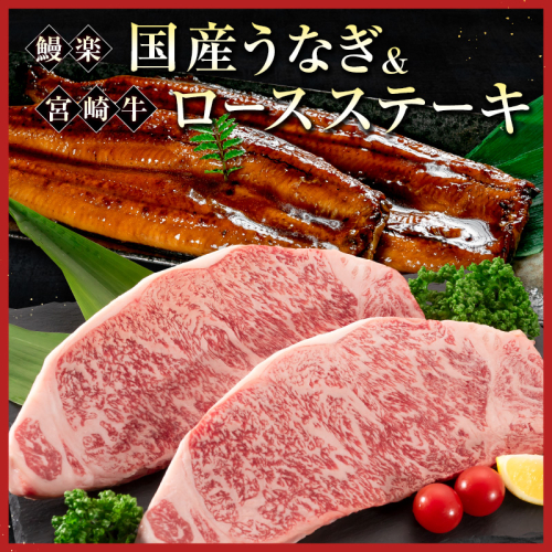 鰻楽 国産うなぎ 2尾 計360g ＆ 宮崎牛 ロースステーキ 250g×2枚 計500g 肉質等級4等級 国産 人気 おすすめ【C129-2509】 547483 - 宮崎県新富町