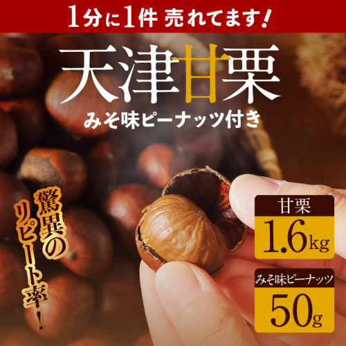 この道45年の職人が焼く、やさしい甘みたっっっぷり！「天津甘栗」1.6kg みそ味ピーナッツ付き 焼きたて 栗 くり 栗爪 殻付き お菓子 おつまみ 人気 高リピート 小分け 栗ご飯 栗きんとん 甘露煮 H045-052 54935 - 愛知県碧南市