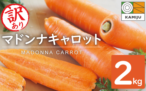 ＜フジテレビ『どっちのふるさと？』で紹介されました！＞ 【期間限定】訳あり！こどもも食べられる甘み！「マドンナキャロット」 2kg にんじん 人参 ニンジン 野菜 やさい 国産 碧南市 健康 食品ロス削減 甘い 先行予約 旬 特産 高評価 高リピート 人気 H105-134 55041 - 愛知県碧南市