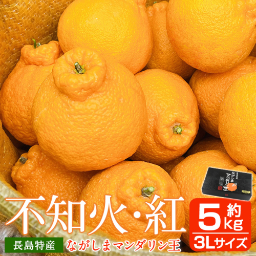 【先行予約】ながしまマンダリン王(大将季) 約5kg【ながしまマンダリングループ】mandarin-1504 55255 - 鹿児島県長島町