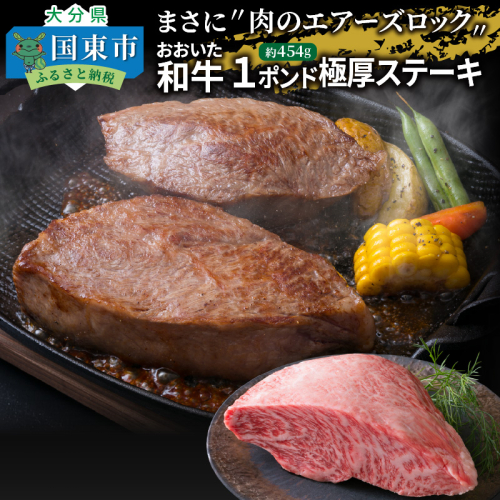 【A4～A5等級】まさに〃肉のエアーズロック〃おおいた和牛１ポンド極厚ステーキ_29365A 55843 - 大分県国東市