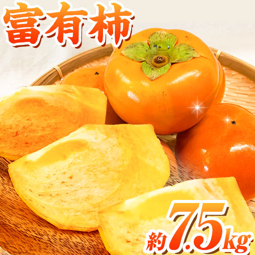 ＊先行予約＊和歌山 秋の味覚 富有柿 約7.5kg 株式会社魚鶴商店《2025年11月上旬-12月上旬頃出荷》和歌山県 日高町 柿 富有柿 フルーツ 558786 - 和歌山県日高町