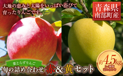 葉とらずりんご 旬の詰め合わせ 赤＆黄セット 約4.5kg 【四戸農園】  減農薬 有機肥料 青森りんご リンゴ 林檎 アップル あおもり 青森 青森県 南部町 果物 くだもの フルーツ 3kg 以上 F21U-265